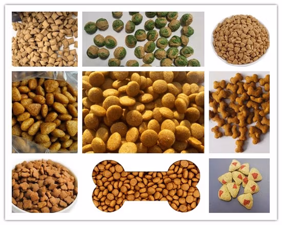 Equipamento de extrusão de ração para peixe seco para animais de estimação Planta animal Máquina extrusora de processamento de alimentos flutuantes para cães de estimação Preço da linha de produção de pellets