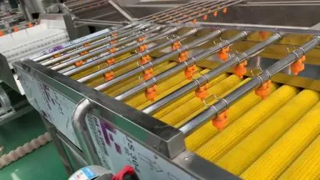 Frigideira automática a gás e elétrica de pellets de lanches, esteira transportadora, fritadeira contínua