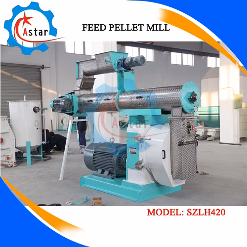 1-20t/H Aço Inoxidável Frango Gado Gado Porco Peixe Aves Aves Alimentar Máquina de Fabricação de Pelotas Linha de Processamento de Alimentos para Peixes